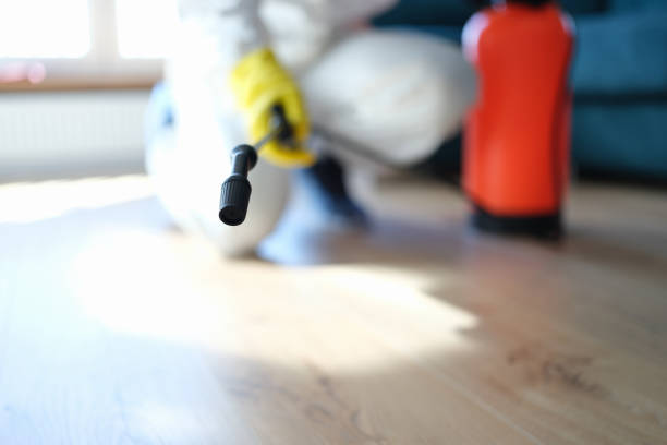 Best Residential Mold Inspection & Testing  in Ingram, PA